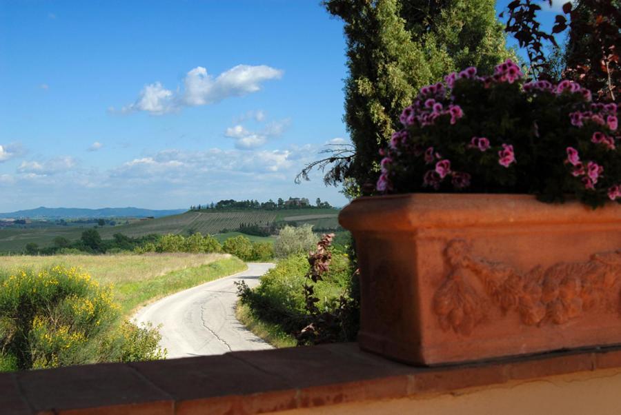Tenuta Santagnese Montepulciano Quarto foto